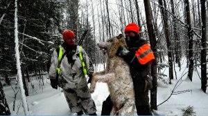ДОБЫТЬ ВОЖАКА СТАИ! ТЯЖЁЛАЯ РАБОТА ОДНОЙ БОЛЬШОЙ КОМАНДЫ.