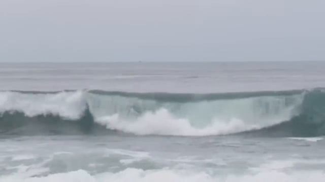 La Jolla Reef Surfing - July 15 смотреть онлайн