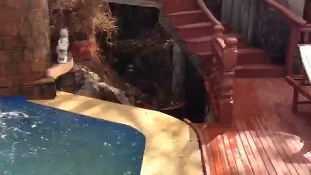 Редкое самообладание смотреть онлайн