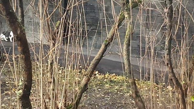 Пока вхолостую протусила я 3 часа... 😾😸 07.11.23 смотреть онлайн