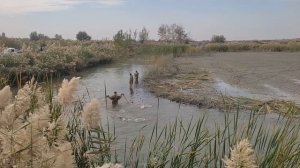 Балик бокиш 6 ойда йетиштириш маслахат Тел +9988