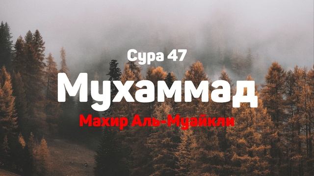 Сура 47 Мухаммад - Махир Аль-Муайкли