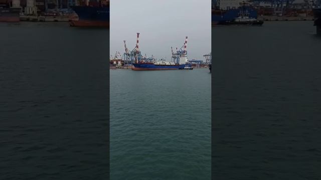 Container Ship is Berthing with Tugboats. #sea #shifting #tugboat смотреть онлайн