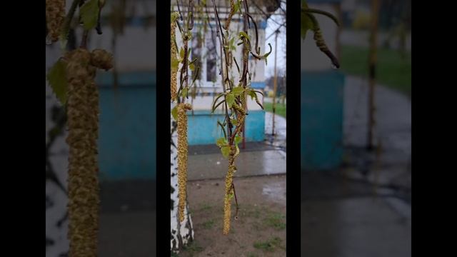 06-04-2025 Волгоград