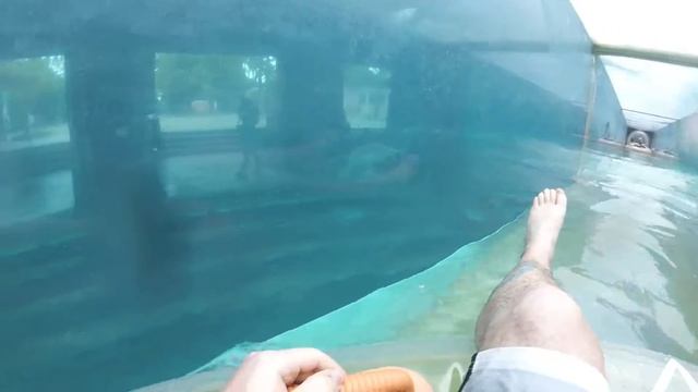 Atlantis shark tank water slide смотреть онлайн