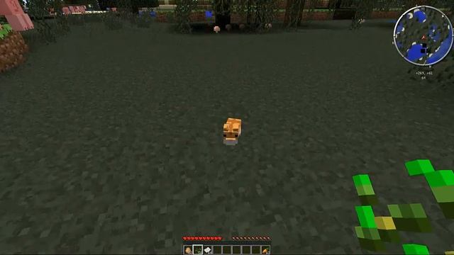 #1 Хомячки (Hamsterrific) Обзор модов для minecraft-а 1 6 4 смотреть онлайн