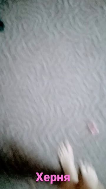 7 декабря 2022 г. смотреть онлайн