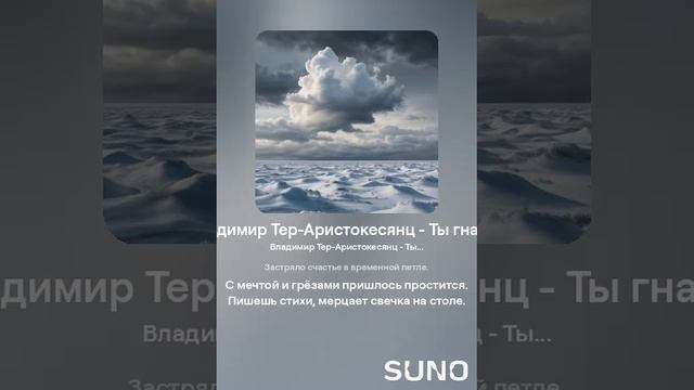 Владимир Тер-Аристокесянц - Ты гнался (вар 1)