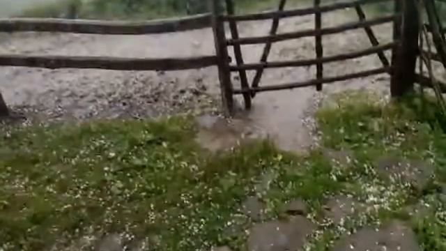 лердар лам смотреть онлайн