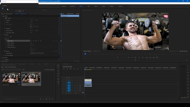 Funny Face Effect - Adobe Premiere Pro Tutorial смотреть онлайн