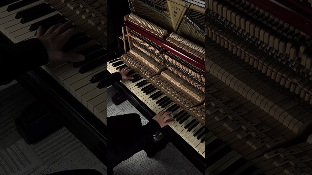 Kara Sevda #piano #calm #shorts смотреть онлайн