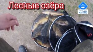 Рыбалка (КМВ). Ставропольский край. Лесные озёра 🌳🌿🎣