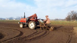 Жизнь на земле | Посадка картофеля минитрактором | Томаты и лук