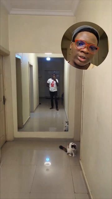 New Telegram Stories with cool editor and Dual Camera mode - #telegram #whatsapp #gram смотреть онлайн