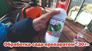 Обработка кустарников препаратом "30+"