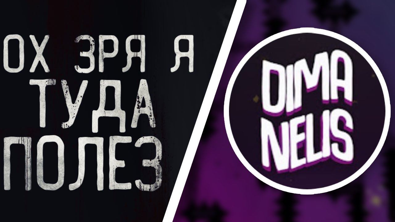 НЕЛИС НЕ ЗНАЕТ, ЧТО ОН НЕСЁТ