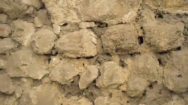 Пчелы с заборе 10 апреля 2016 смотреть онлайн