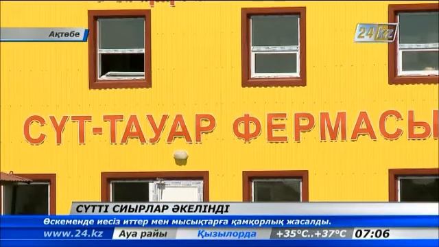 Мұхит асып келген зеңгі баба иелері сүт-ет өнімдерінің көлемін ұлғайтпақ смотреть онлайн