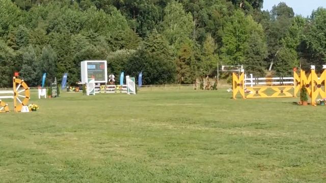 Concurso de Saltos Internacional - Coimbra - CSI1 -2015 смотреть онлайн