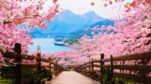 Самые красивые места в мире и самая красивая природа!