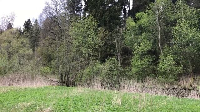 7 мая 2020 смотреть онлайн