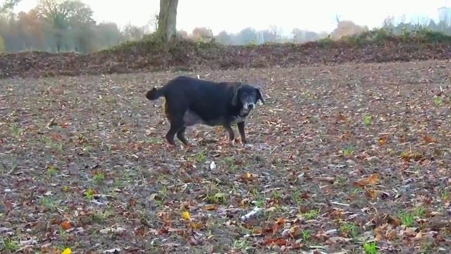 SEIZE ANS DE BONHEUR ET DE JOIE  AU REVOIR MA PRINCESSE.  SOUVENIR 