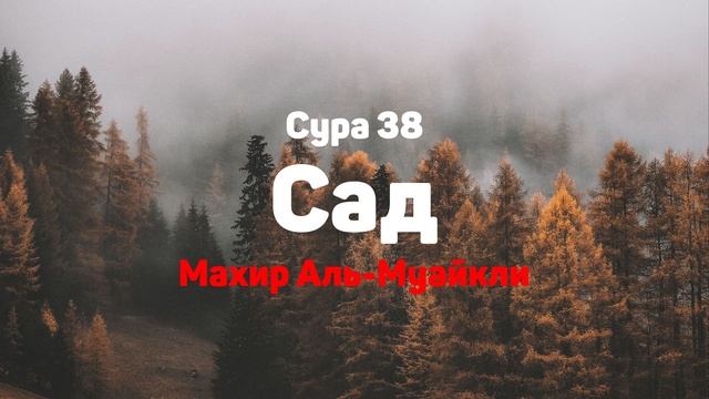 Сура 38 Сад - Махир Аль-Муайкли