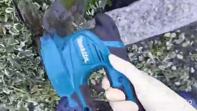 Живу в Германии. Картошку выкопала🥔🥔🥔. Цветы подрезала🌻🍂.Вот😉 смотреть онлайн