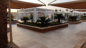 Отель альбатрос пик аквапарк Шарм-эль-Шейх