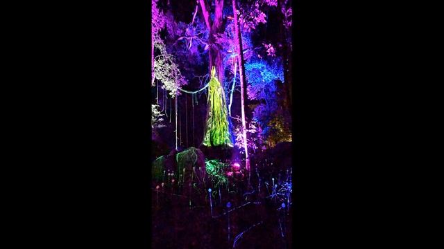 DSC_8598_vertical смотреть онлайн