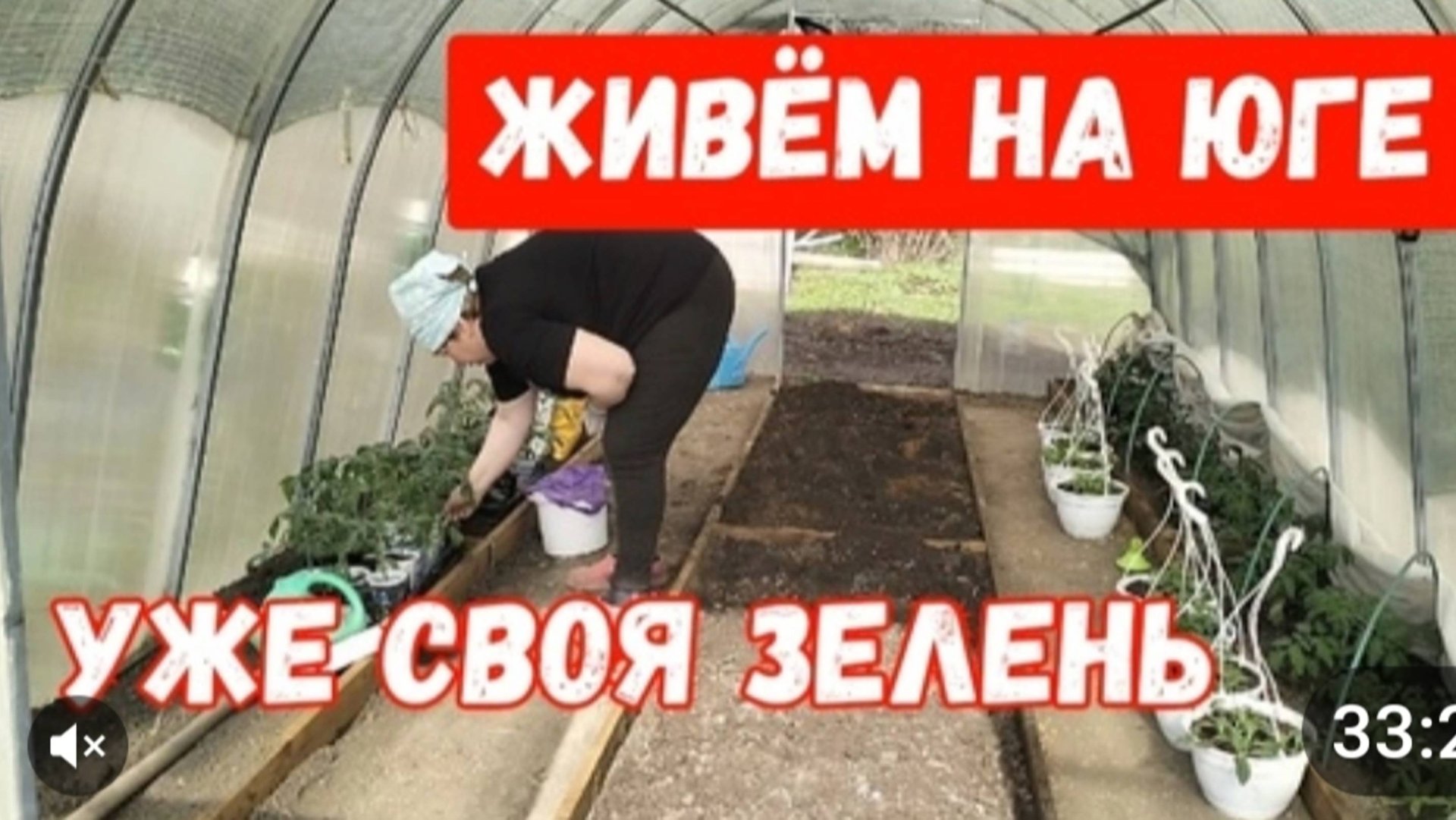 Едим свою зелень /Клумба пополняется/Пересадили тую/Высадила ещё томаты смотреть онлайн