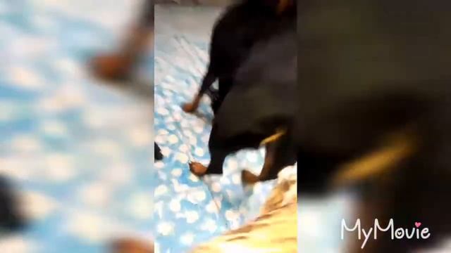 Lola y lisa смотреть онлайн