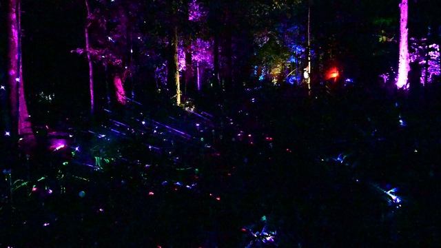 DSC_8473 смотреть онлайн