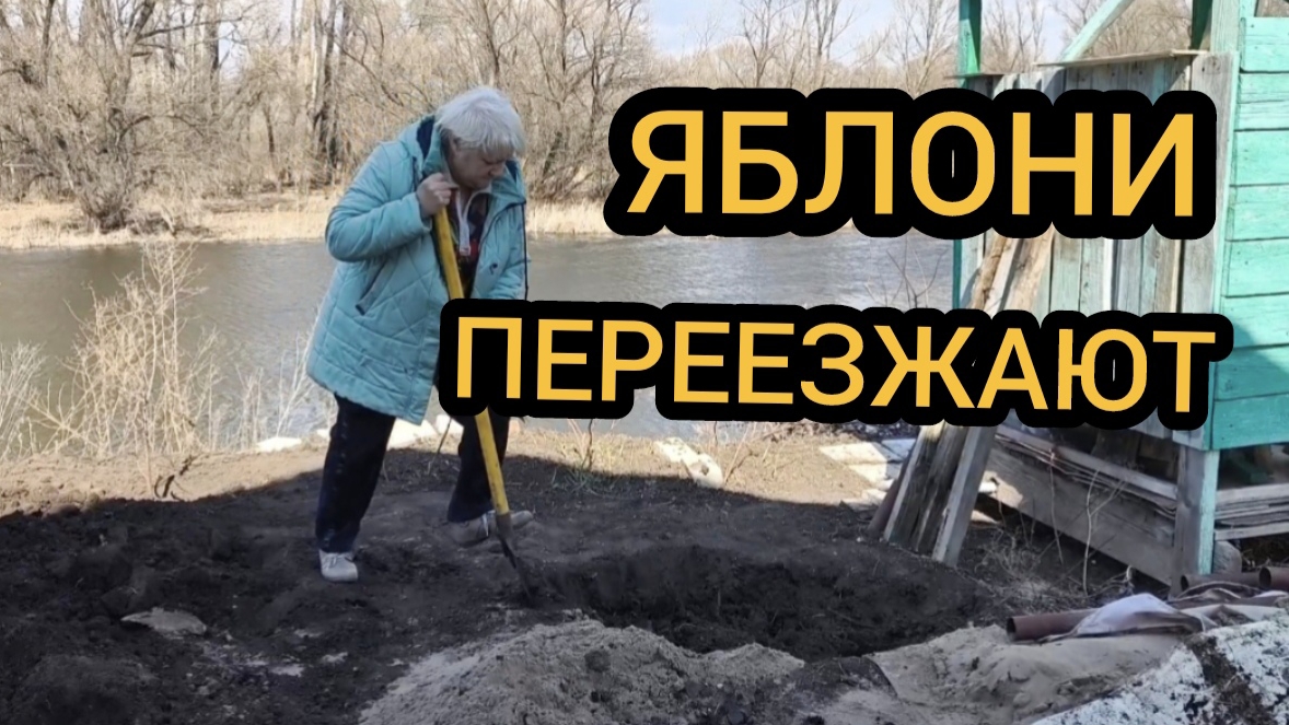 Яблони переезжают 05.04.2025 смотреть онлайн