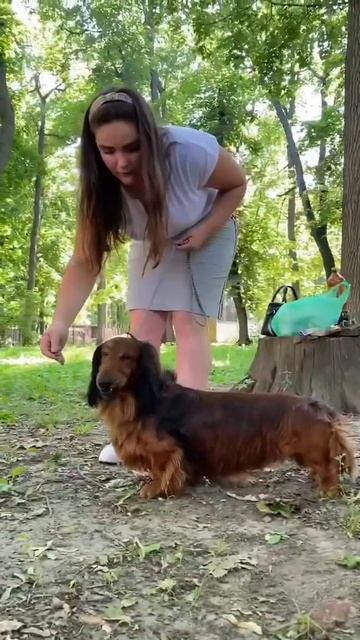 Индивидуальная тренировка смотреть онлайн