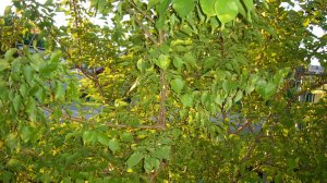 "Дорога к морю" (Замечательная песня Юрия Антонова в моём исполнении)