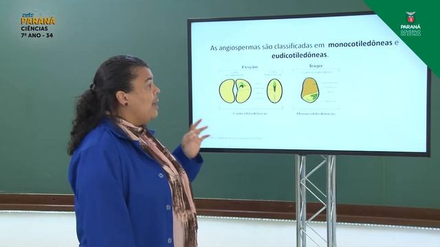 2021 | Resumo Da Aula | 7º Ano | Ciências | Aula 34 - Angiospermas: Classificação E Reprodução