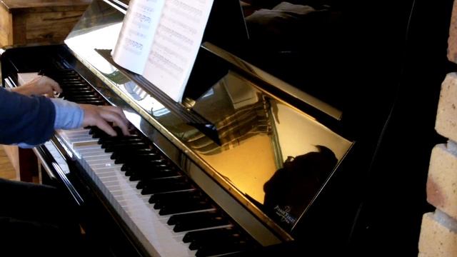Notre-Dame de Paris - Ave Maria Païen - Piano Cover смотреть онлайн