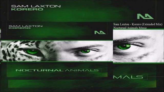 Sam Laxton - Korero (Extended Mix) смотреть онлайн