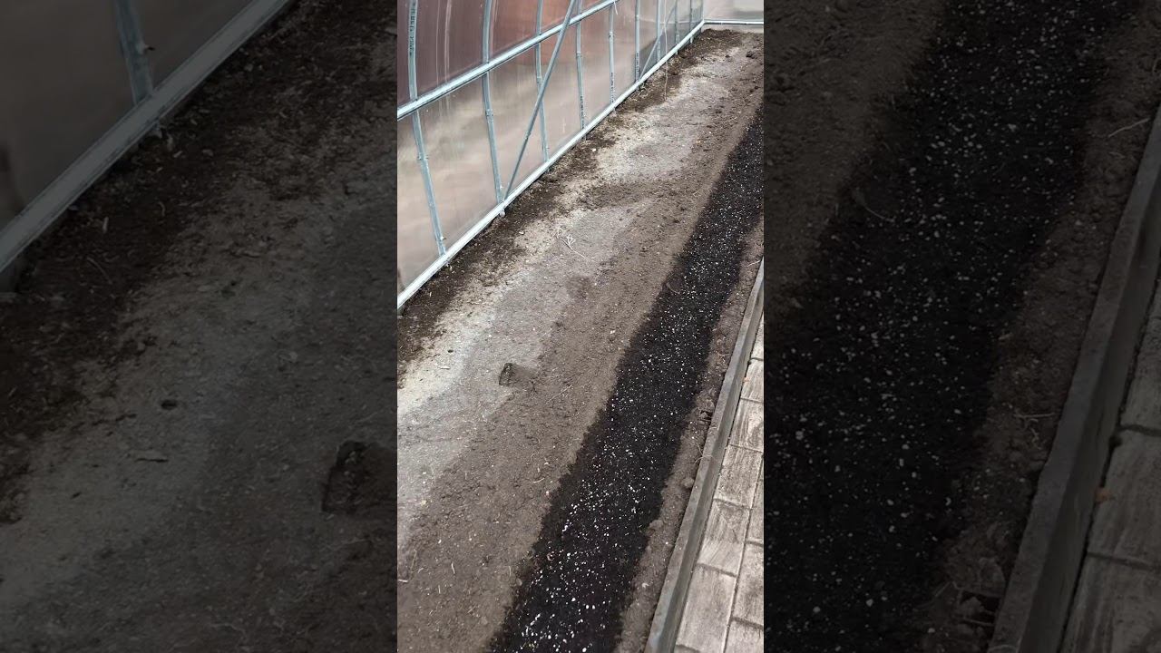 Эксперимент!!! Сажаем в теплице зелень и будем получать ранний урожай. смотреть онлайн