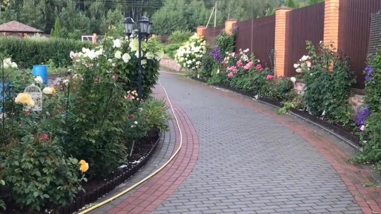 Розы.Что делать если розы замёрзли или плохо вышли из зимы. ??? смотреть онлайн