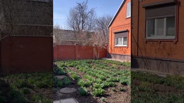 Продаётся дом Краснодарский край смотреть онлайн