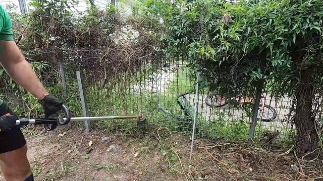 The overgrown vegetation was the easy part... Super satisfying yard clean up! смотреть онлайн