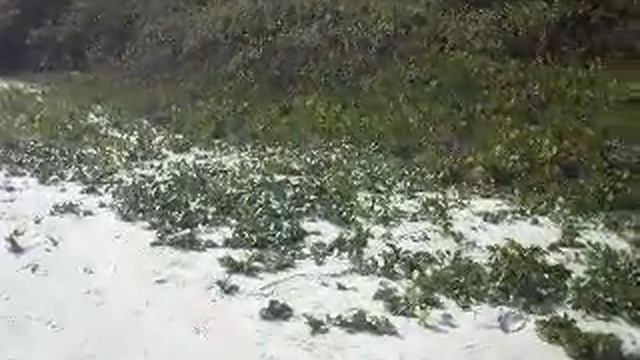 Ao Phai Beach Koh Samet смотреть онлайн