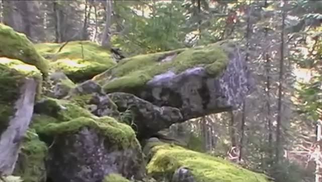 СЕНТЯБРЬ МНОГОЦВЕТНЫЙ.  (Природа Кузбасса, сентябрь - 2014 год)