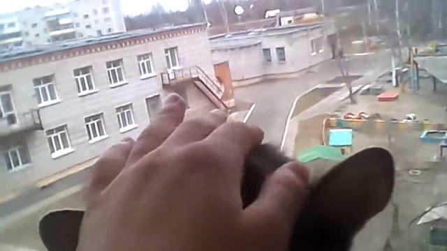 МОЯ КОШКА МАША / MOY CAT смотреть онлайн