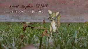 Cavetown-Juliet 1 hour version