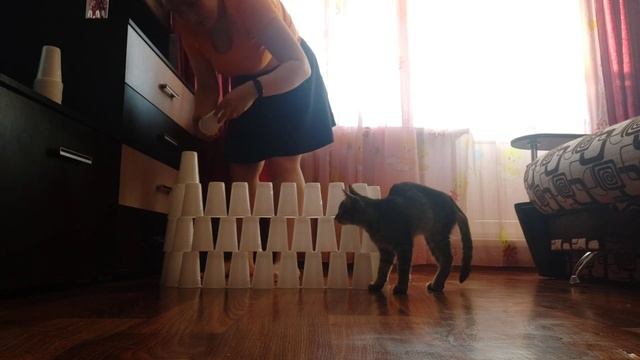 МОЙ ДЕНЬ ИЛИ КАК Я СТРОИЛА БАШНЮ ИЗ ПЛАСТИКОВЫХ СТАКАНЧИКОВ смотреть онлайн