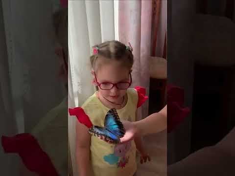 Голубая Морфо - самая красивая в мире! #shorts