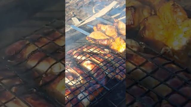 лучшие рецепты от шеф повара,шашлык, мангал, вкусная закуска,#shortvideo #shorts #short #share смотреть онлайн